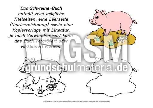 Mini-Buch-Schwein.pdf